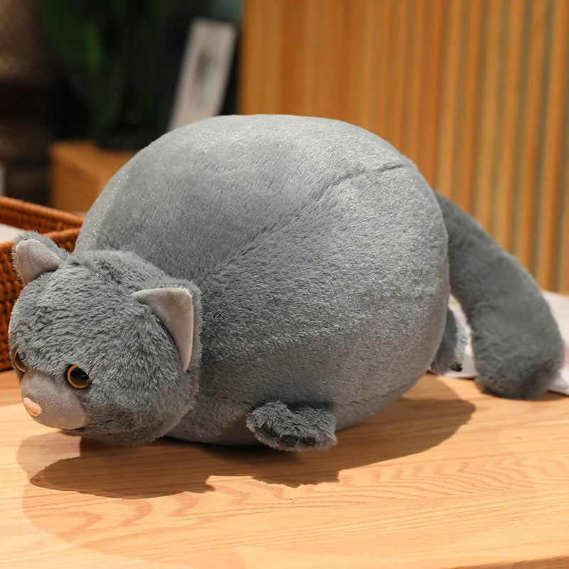 Fatty the Round Cat Crocodile Puffer Fish Plush Pillow