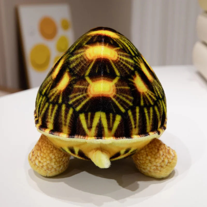 Shelly the Realistic Green Sea Turtle Plush Plushie