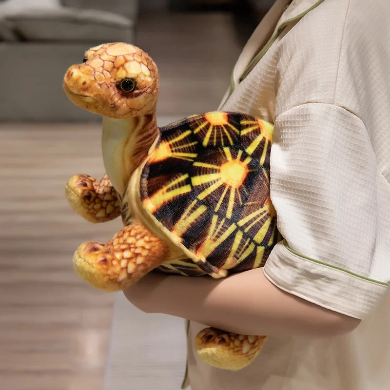 Shelly the Realistic Green Sea Turtle Plush Plushie