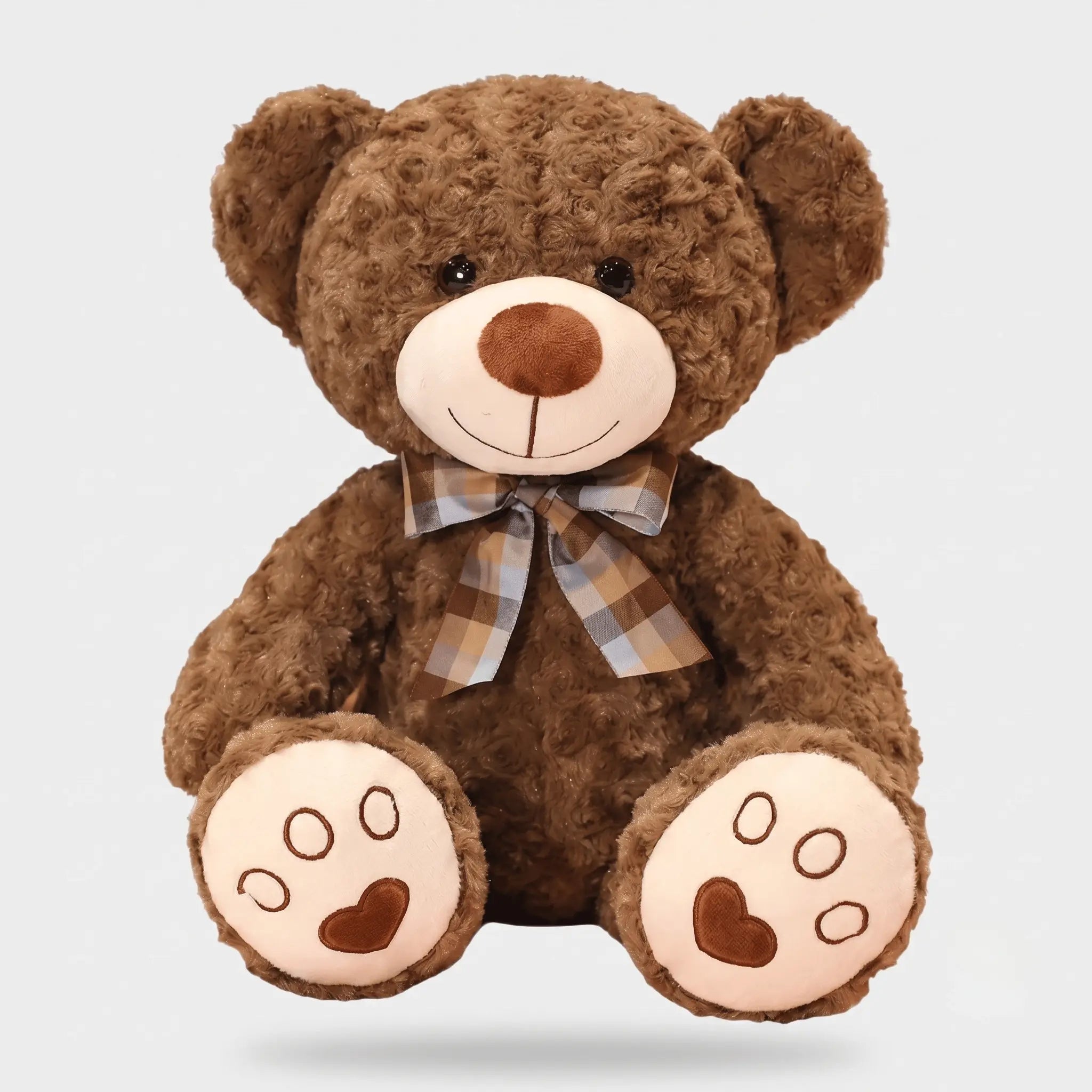 Teddy the Cuddly Soft Bear Snuggle Plush