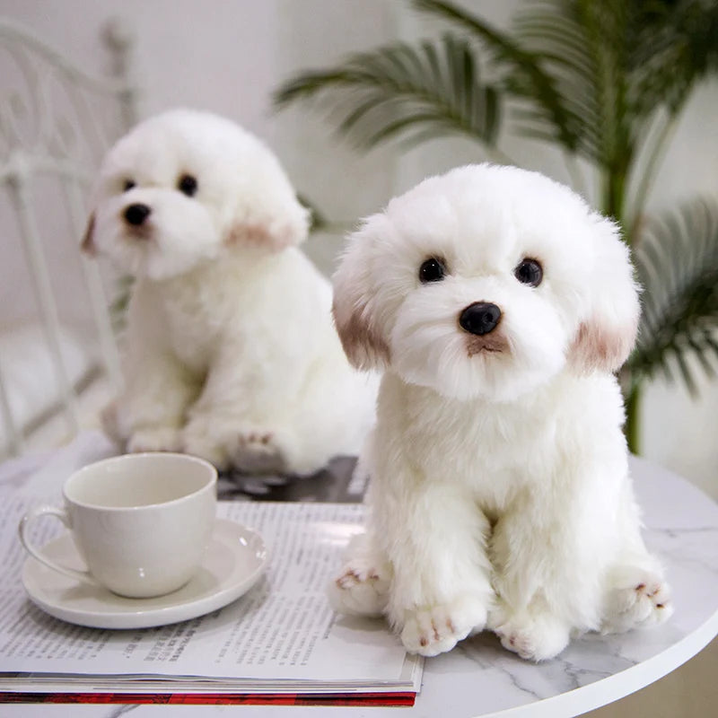 Maltese the Lifelike Soft Cartoon Dog Plush Plushie