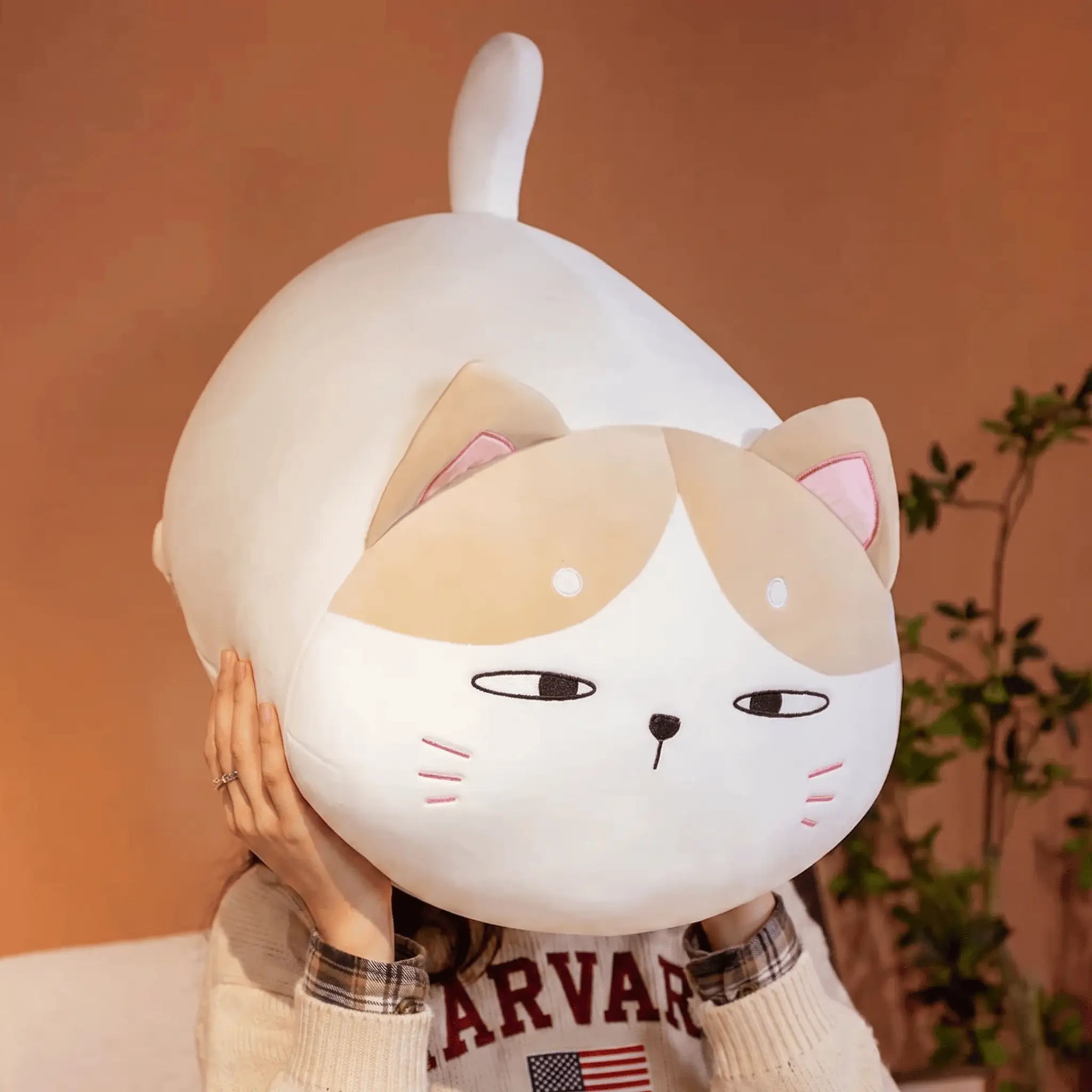 Noodle the Kawaii Fat Cat Snuggle Pillow Plush