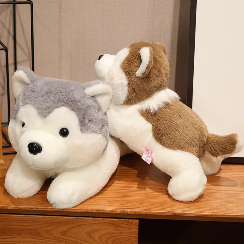 Biscuit the Kawaii Lying Husky Puppy Plushie
