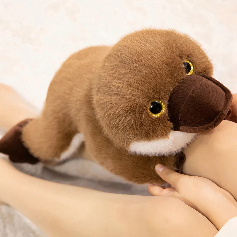 Platty the Chubby Kawaii Platypus Snuggle Plushie
