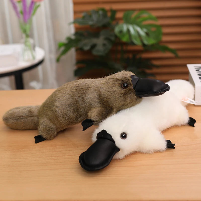 Platty the Chonky Kawaii Duckbill Platypus Plushie