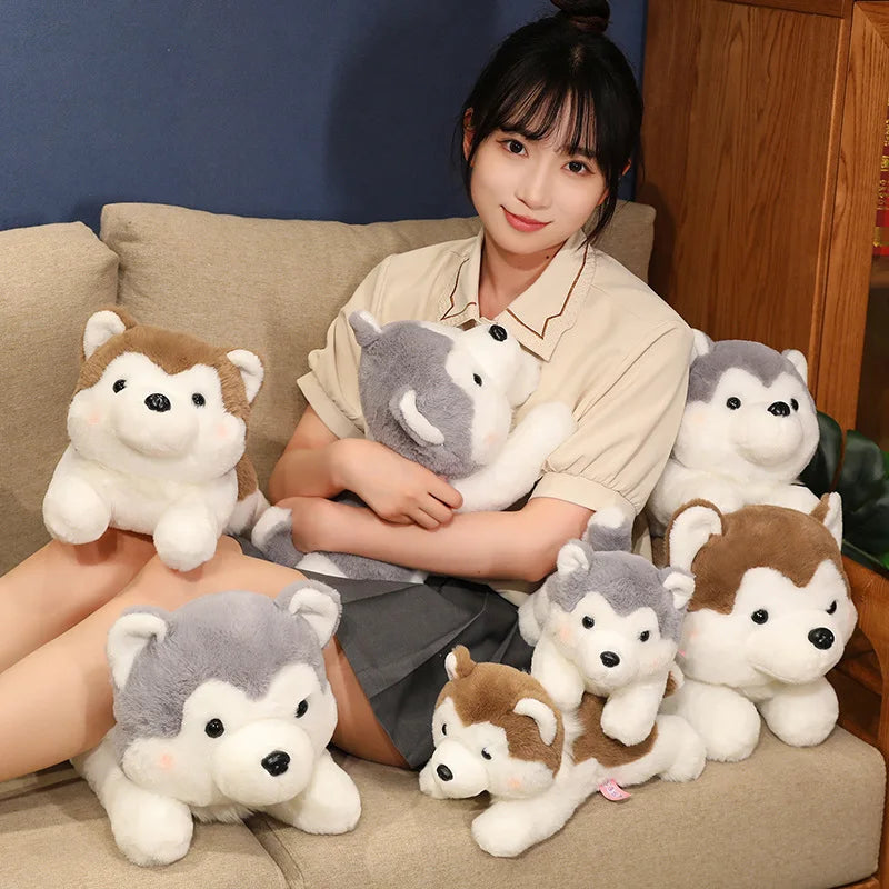 Biscuit the Kawaii Lying Husky Puppy Plushie
