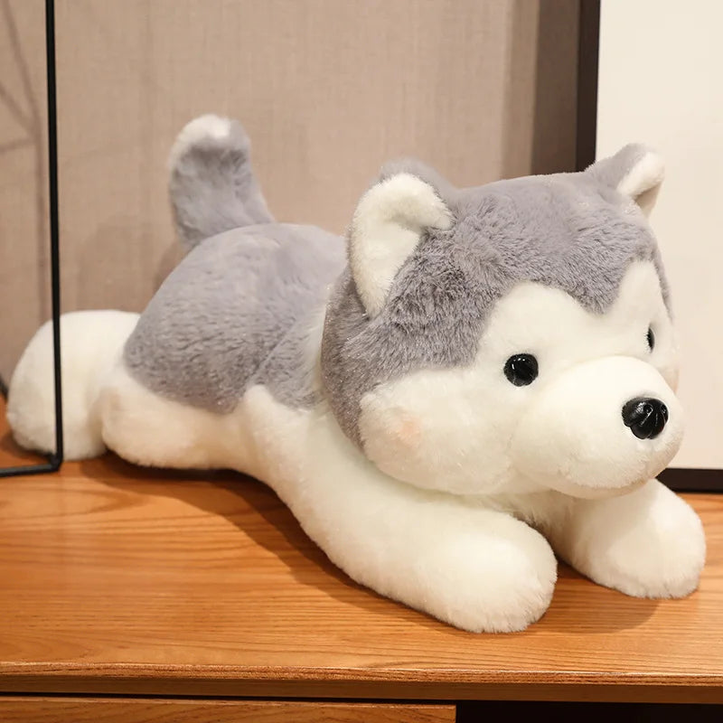 Biscuit the Kawaii Lying Husky Puppy Plushie
