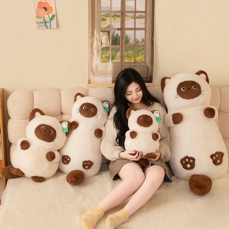 Puffy Round Kawaii Kitten Plushie Collection